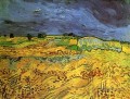 Les champs Vincent van Gogh